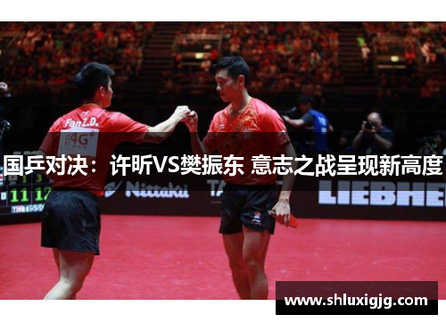 国乒对决：许昕VS樊振东 意志之战呈现新高度