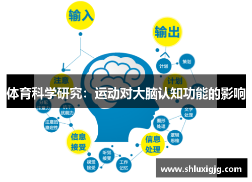 体育科学研究：运动对大脑认知功能的影响